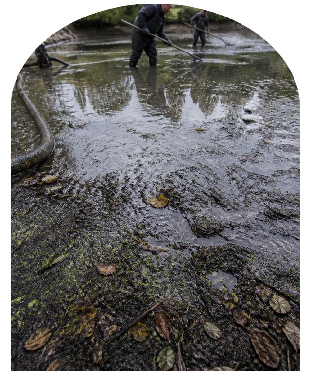 Очистка пруда в Новомосковске от ила мусора и водорослей с вывозом